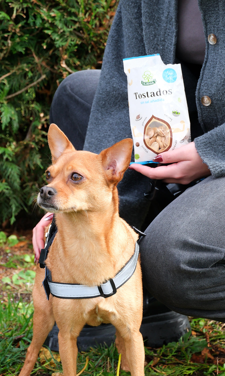 Almendra tostada bolsa 100g - sin sal