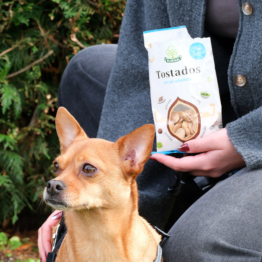 Anacardo tostado bolsa 100g- sin sal