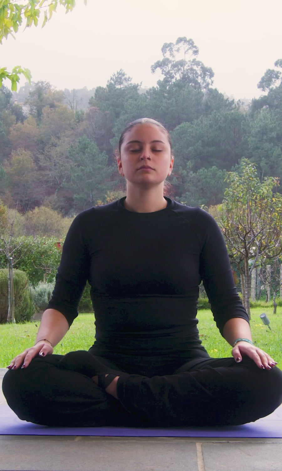 Nuez grano bolsa 100g - 100% Naturales